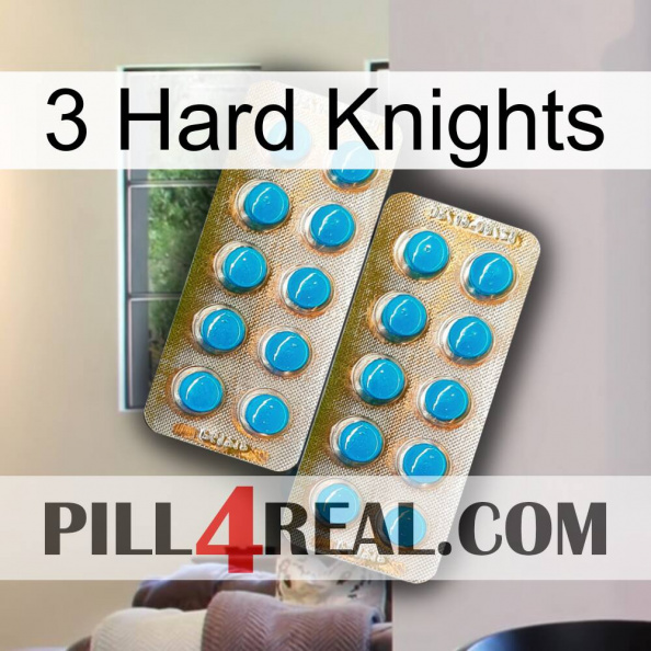 3 Hard Knights new08.jpg